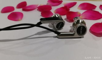 國產(chǎn)小美脈歌再推新作 MACAW RT 20單動(dòng)圈Hi-Fi耳機(jī)，電子配件市場的璀璨明珠